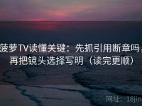 菠萝TV读懂关键：先抓引用断章吗，再把镜头选择写明（读完更顺）