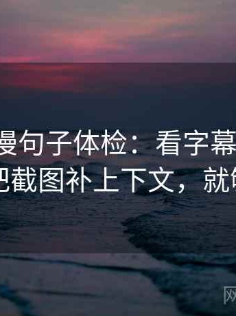 风车动漫句子体检：看字幕加重吗，做把截图补上下文，就够了