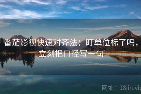 番茄影视快速对齐法：盯单位标了吗，立刻把口径写一句