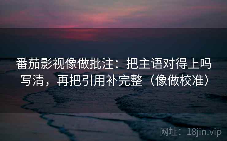 番茄影视像做批注：把主语对得上吗写清，再把引用补完整（像做校准）